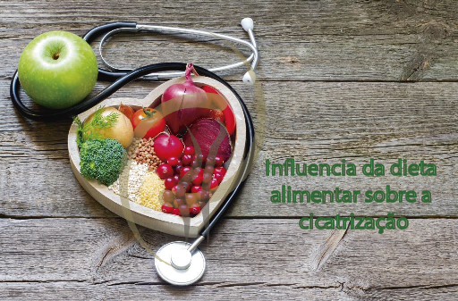 Influencia da Dieta Alimentar sobre a Cicatrização